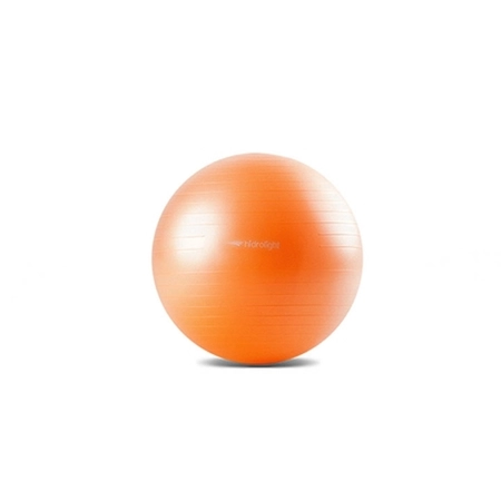 Bola de Exercícios Hidrolight 55cm (FL13A)