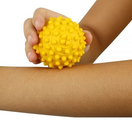 Bolinha para Fisioterapia Fisiopauher Grande FG-12